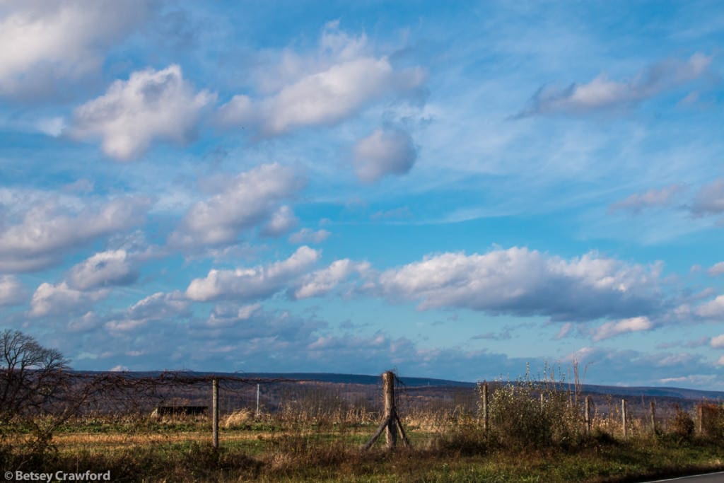 farm-field-sky-Genesis-farm-Blairstown-New-Jersey-by-Betsey-Crawford