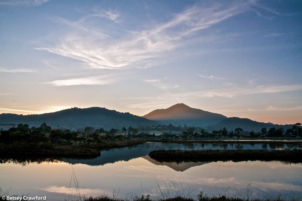 Mount Tamalpais from the Corte Madera Ecological Preserve, Corte Madera, California
