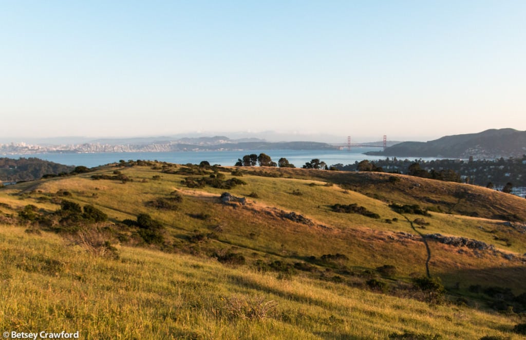 Looking toward San Francisco and the Golden Gate Bridge from Ring Mountain, Tiburon, California