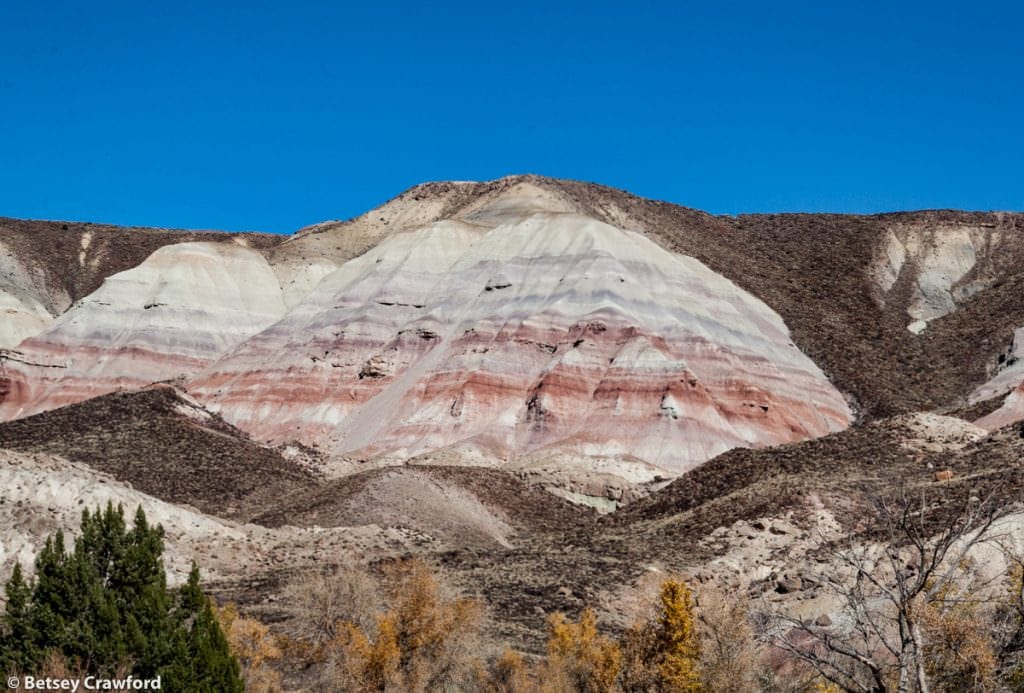 White, red and brown stone layers in southern Utah but Betsey Crawford