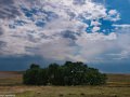 A grove of trees watered by a nearly invisible stream in the Pawnee National Grasslands, Colorado