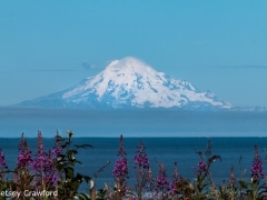 Mount Redoubt, an active volcano, seen from Kenai