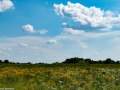 Schwarz Prairie, Osceola, Missouri