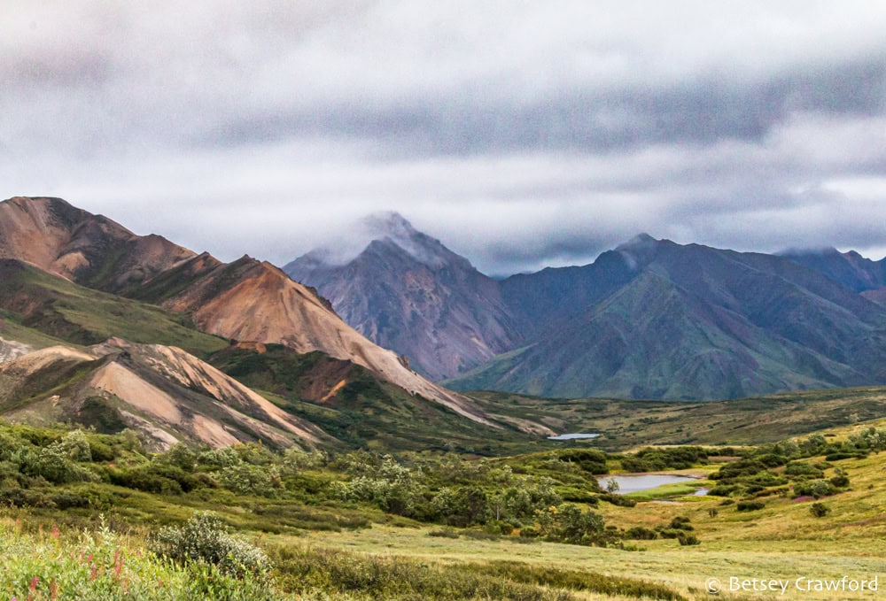 A green valley in Denali National Park with buff colored mountains to the left and dark blue and green mountains behind. Photo by Betsey Crawford.