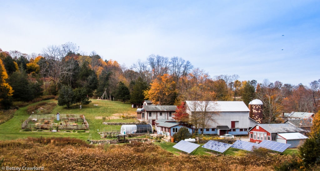 autumn-Genesis-farm-Blairstown-New-Jersey-by-Betsey-Crawford