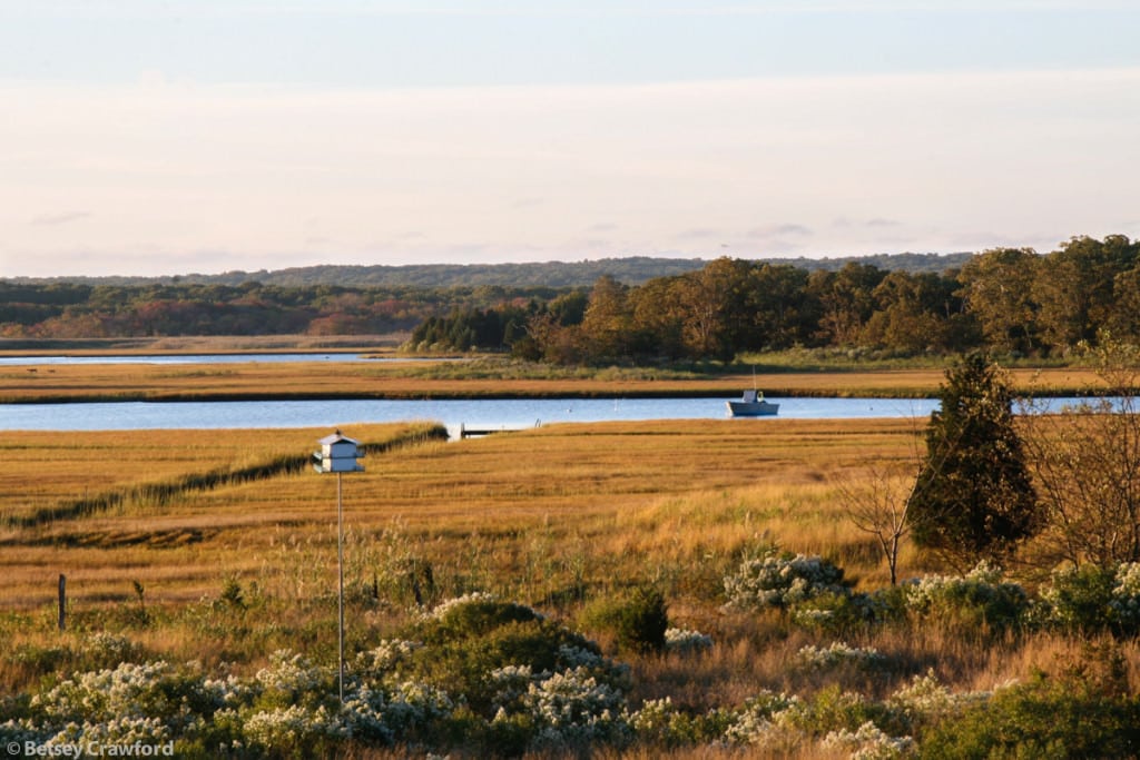 October beauty on Accabonac Harbor, East Hampton, New York by Betsey Crawford
