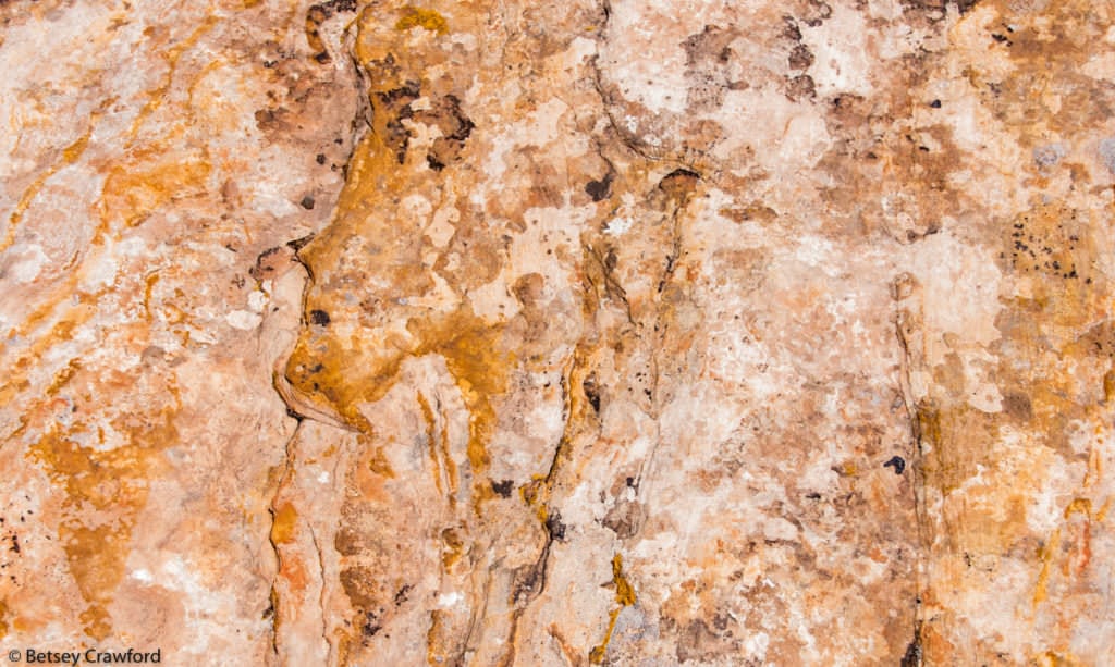 Lichen covered stone path in Butler Wash, near Blanding, Utah by Betsey Crawford