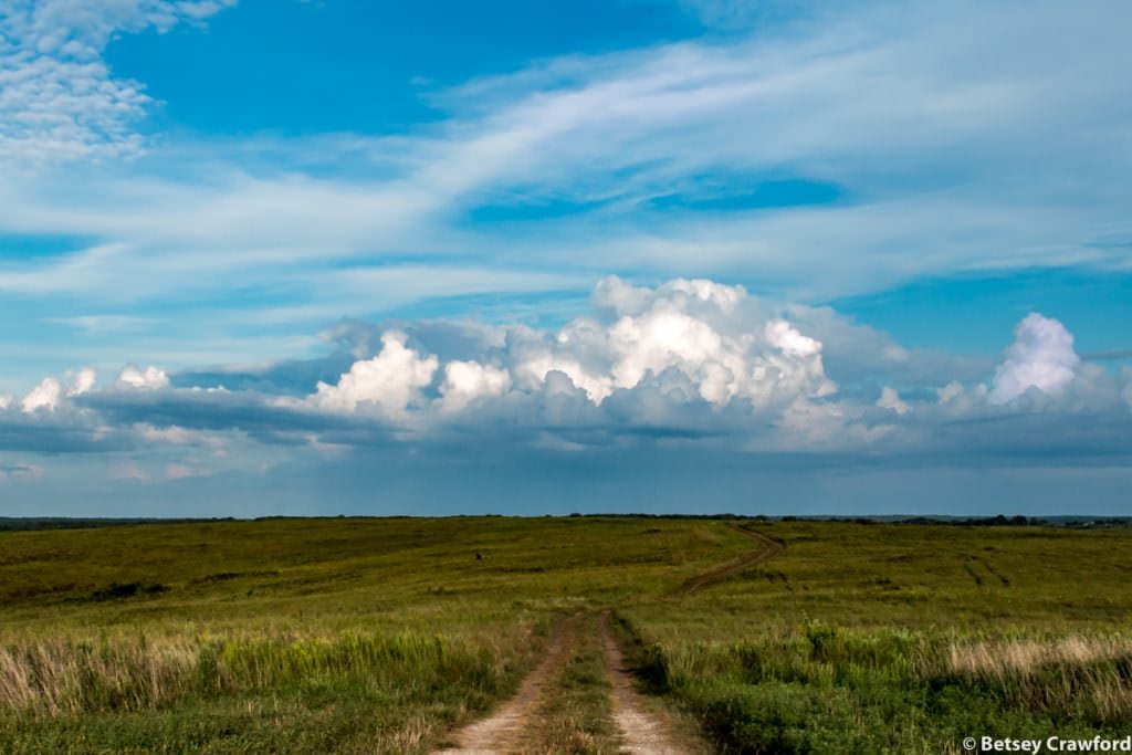 Wah-Kon-Tah Prairie in El Dorado Springs, Missouri by Betsey Crawford