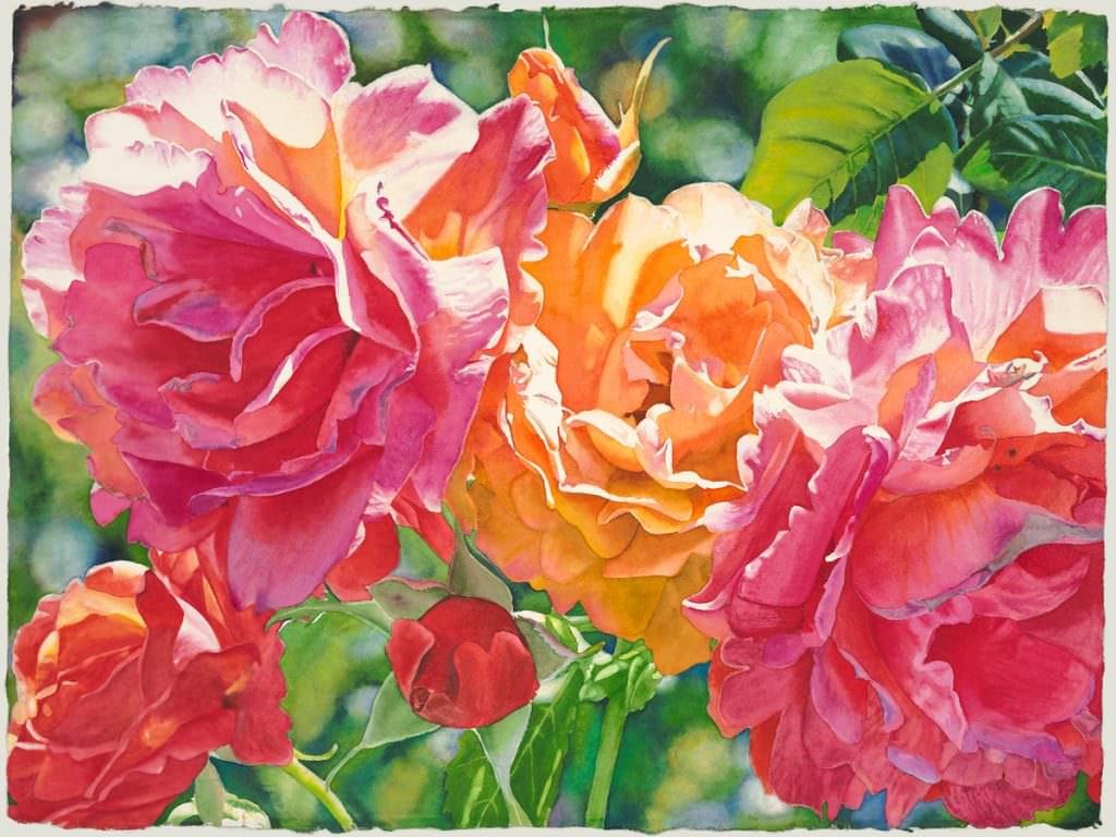 Firelight, a watercolor painting of roses by Cara Brown, Life in Full Color