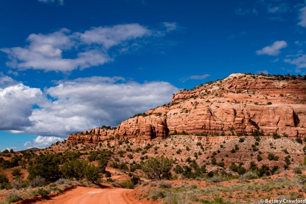 Comb Ridge along Butler Wash, Bluff to Blanding, Utah by Betsey Crawford