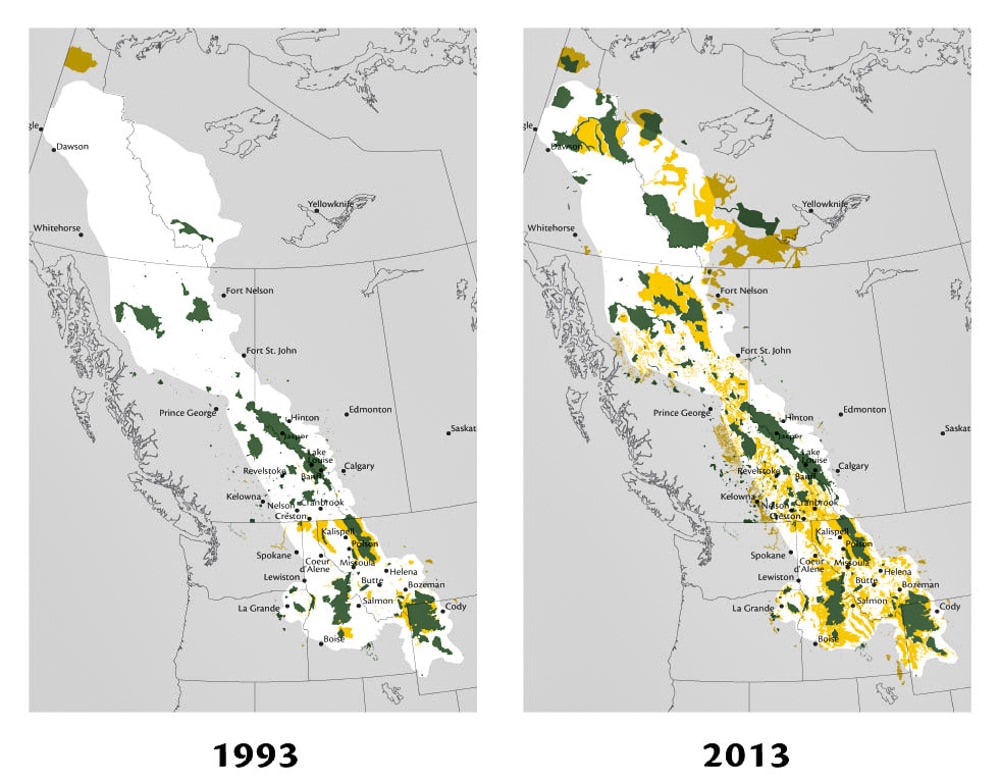 Saving half the earth: these maps, courtesy of Y2Y.net, show progress made in their first twenty years