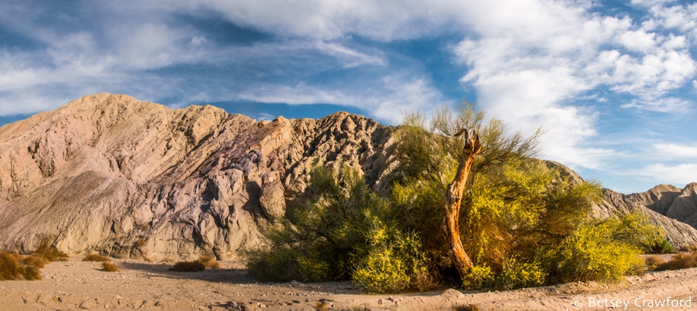 Along the Painted Canyon in the Mecca Wilderness in the Anza Borrego Desert, California by Betsey Crawford
