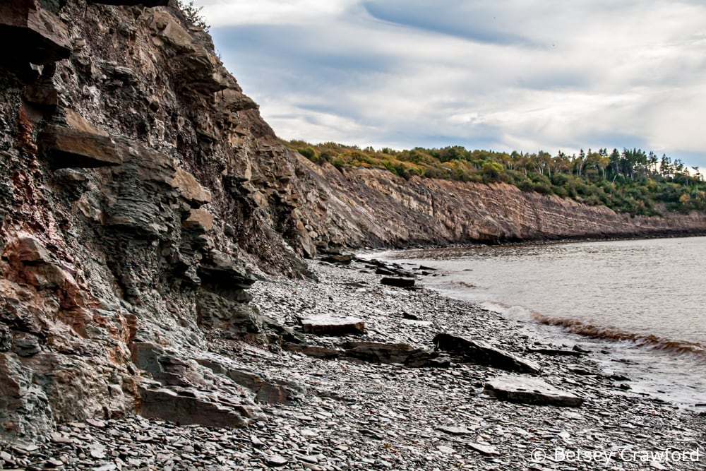 Bay of Fundy  East Coast Modern