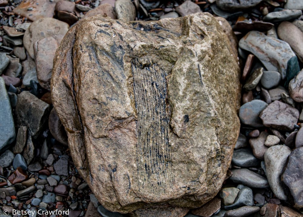 The drama of deep time: Joggins Fossil Cliffs - The Soul of the Earth