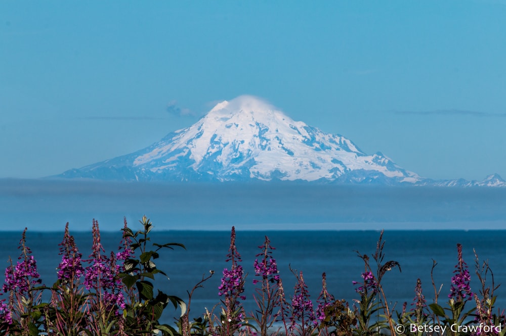 White topped Mount Redoubt seen from Kenai, Alaska by Betsey Crawford