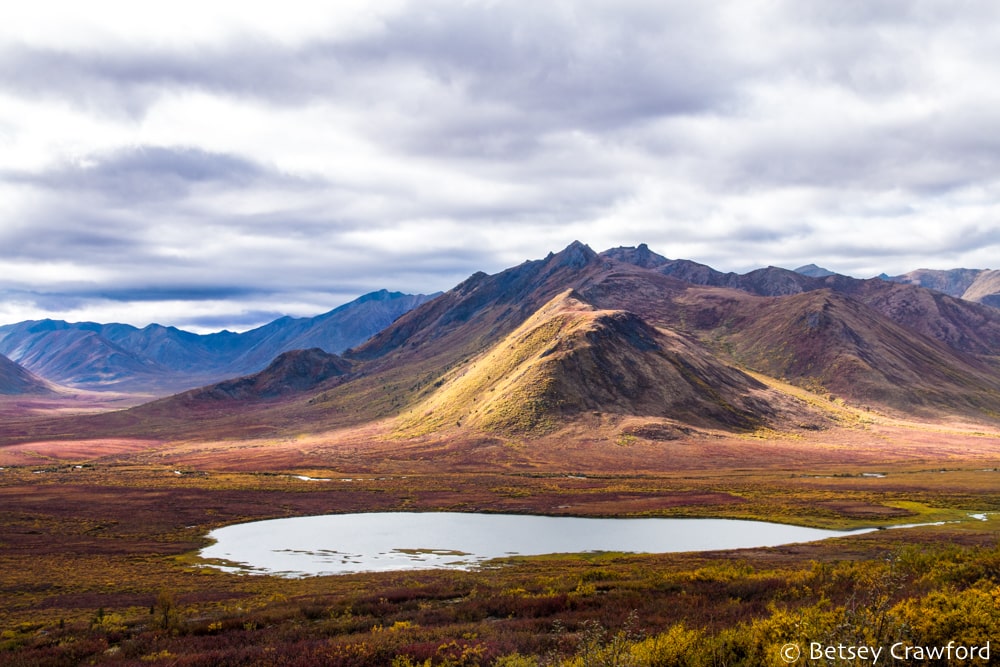 Otherwordly scene of autumnal tundra in Tombstone Provincial Park, Yukon by Betsey Crawford
