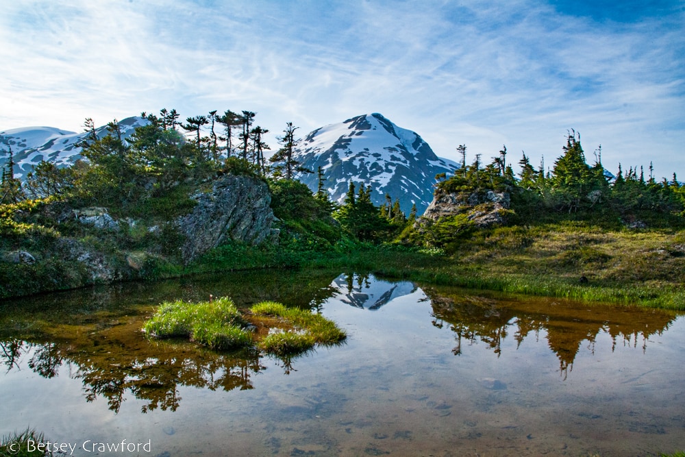 An alpine lake fringed with plants with snowy mountains behind next to the Salmon Glacier in the Tongass National Forest, Alaska by Betsey Crawford