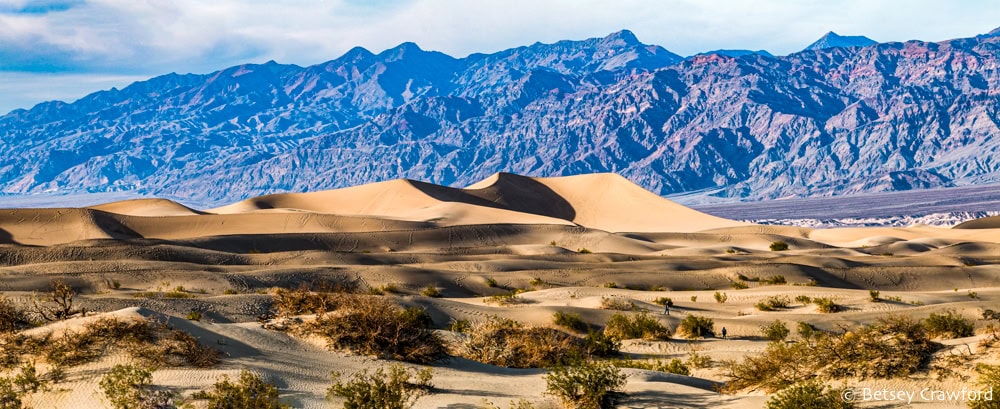 The curving, sand dunes area in Death Valley National Park show against blue mountains in the late afternoon light. Photo by Betsey Crawford.
